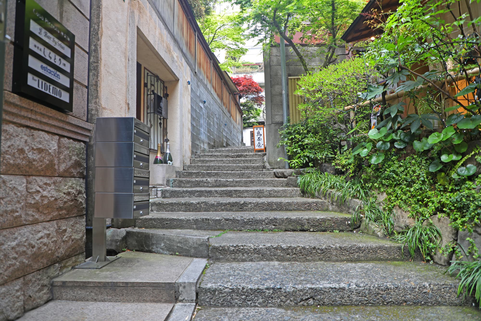 赤坂・青山エリア