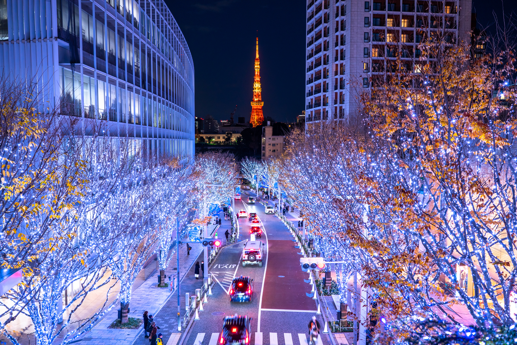 六本木エリア 東京タワー イルミネーション