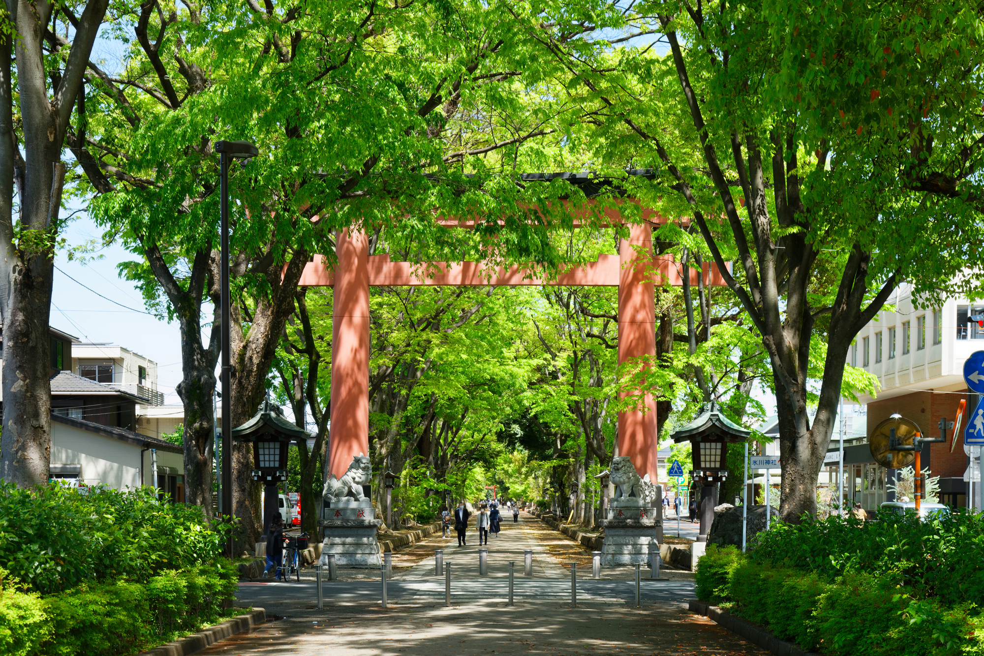 氷川神社 参道