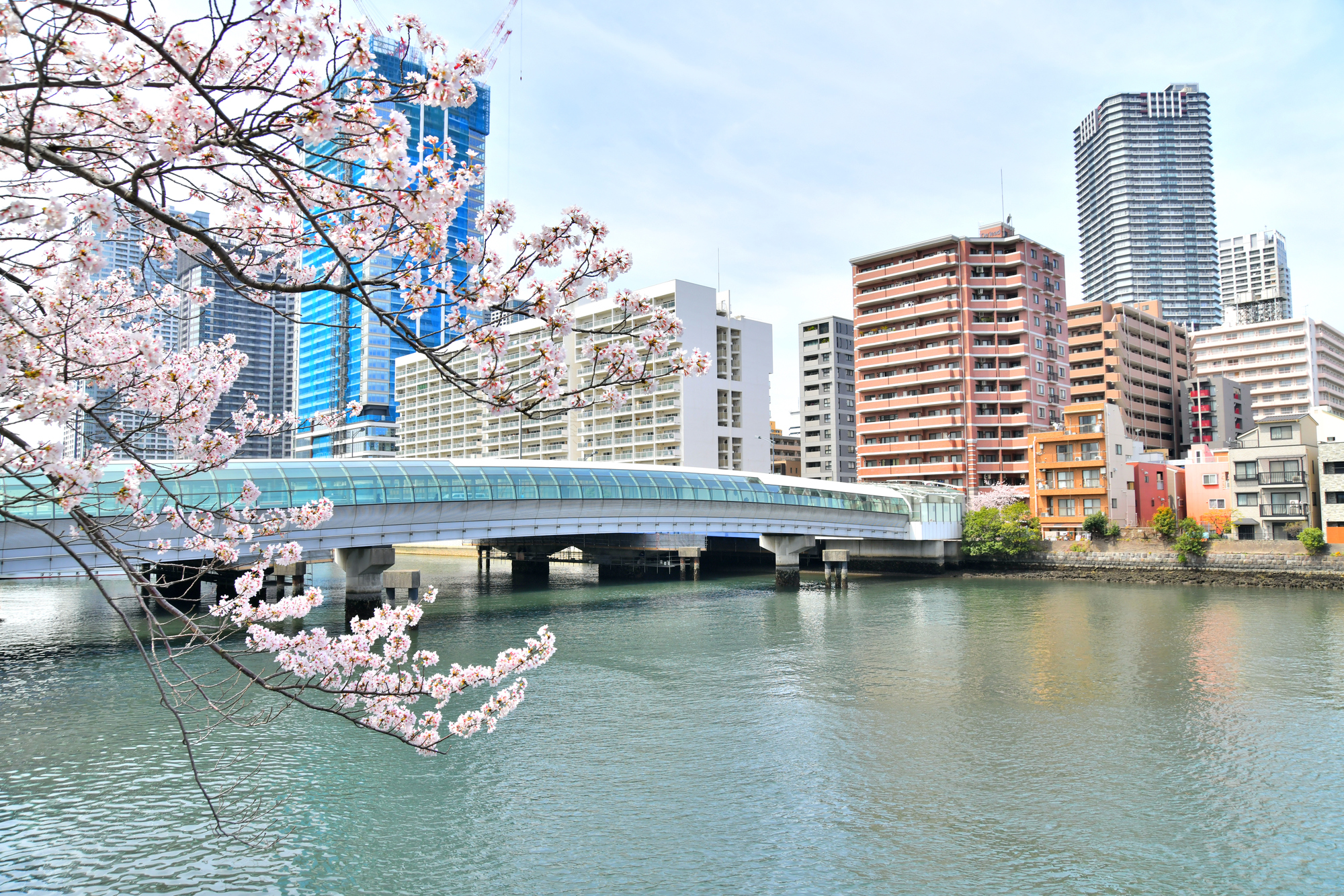 東京スカイツリー方面の眺望