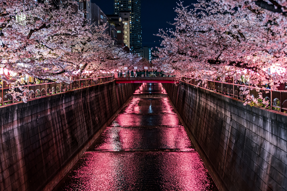 目黒川