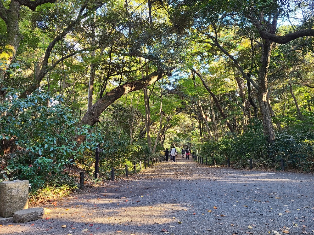 白金自然教育園