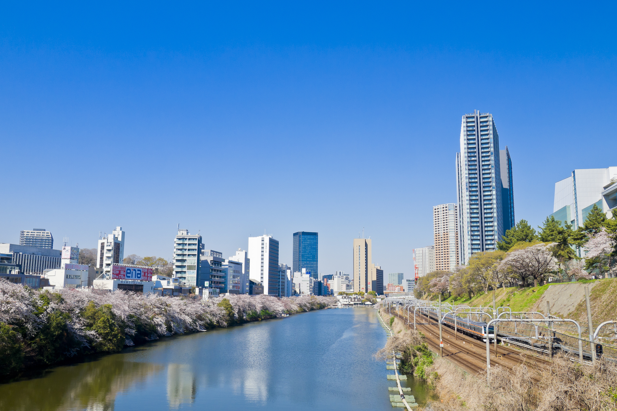 市ヶ谷 外堀の桜と都心の眺望