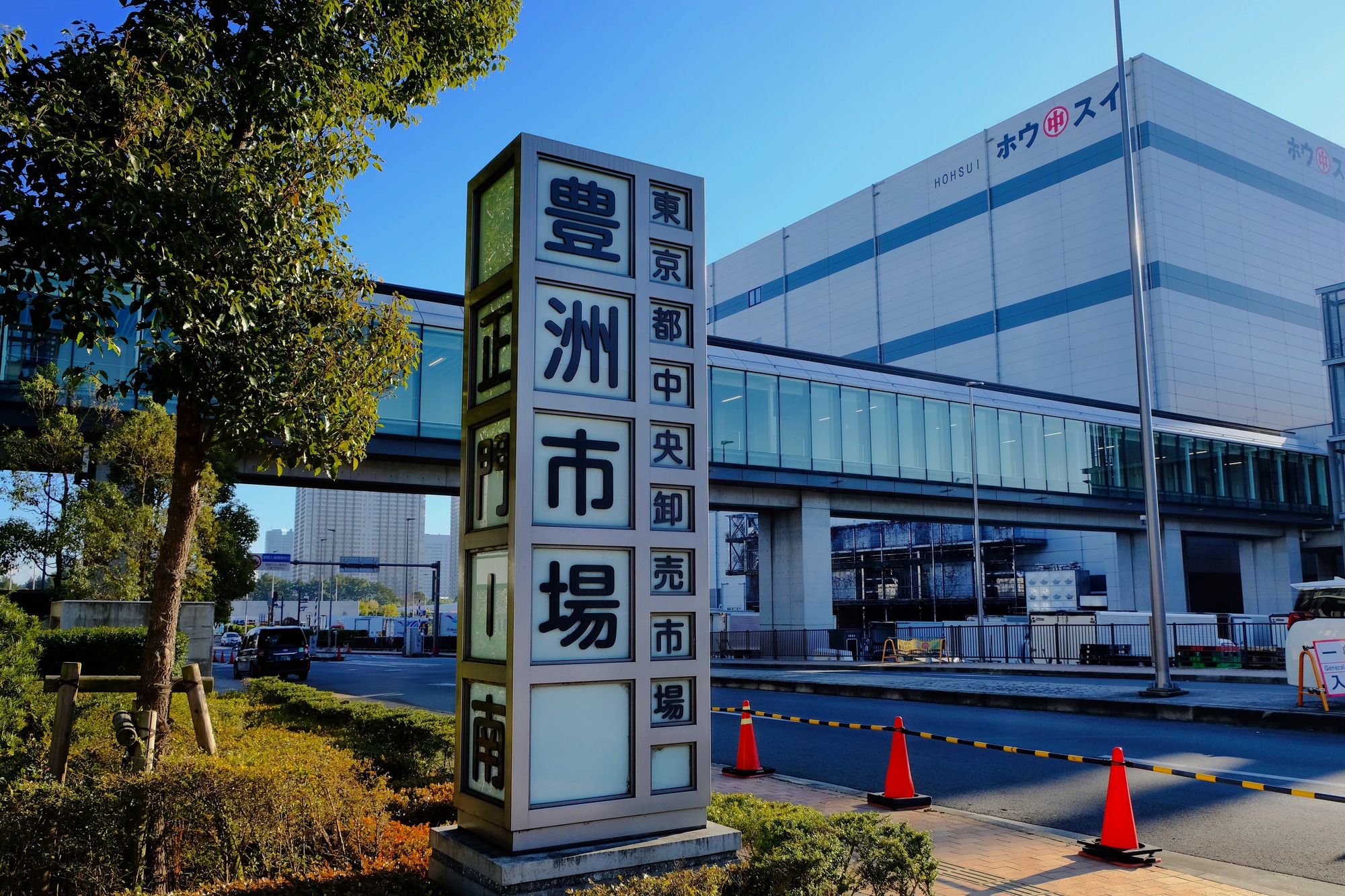 豊洲市場