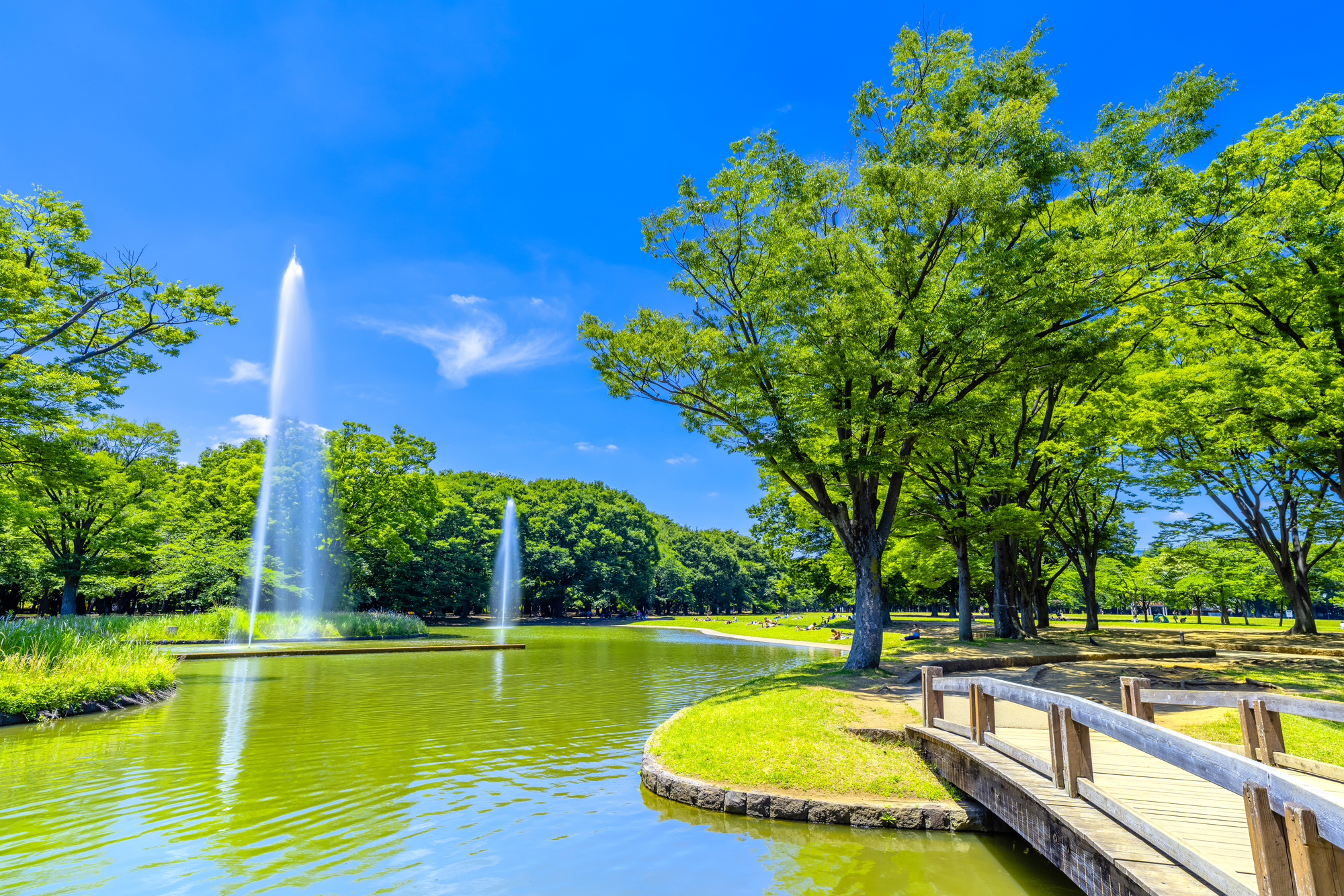 代々木公園・渋谷エリア 鳥瞰