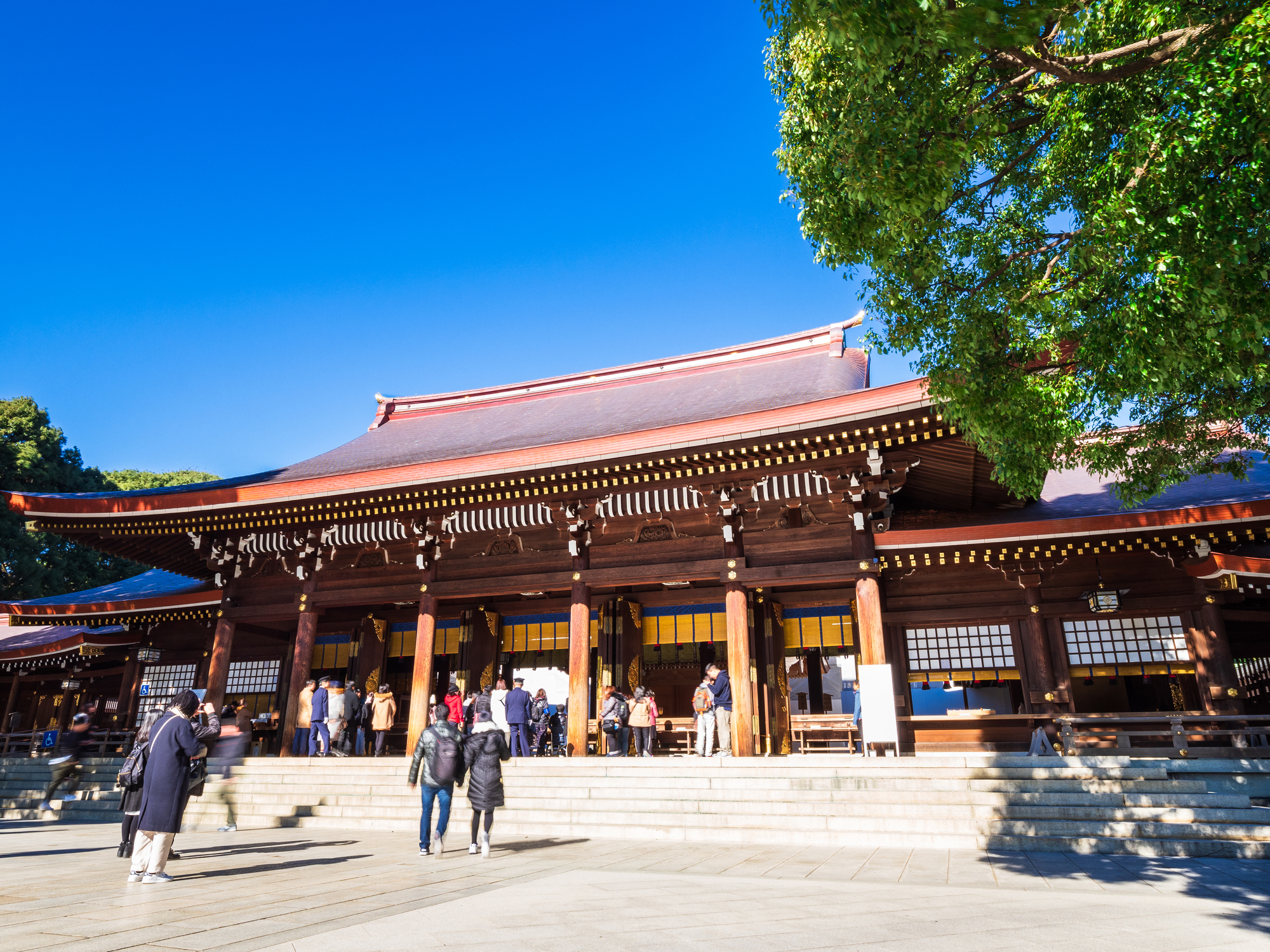 明治神宮 本殿