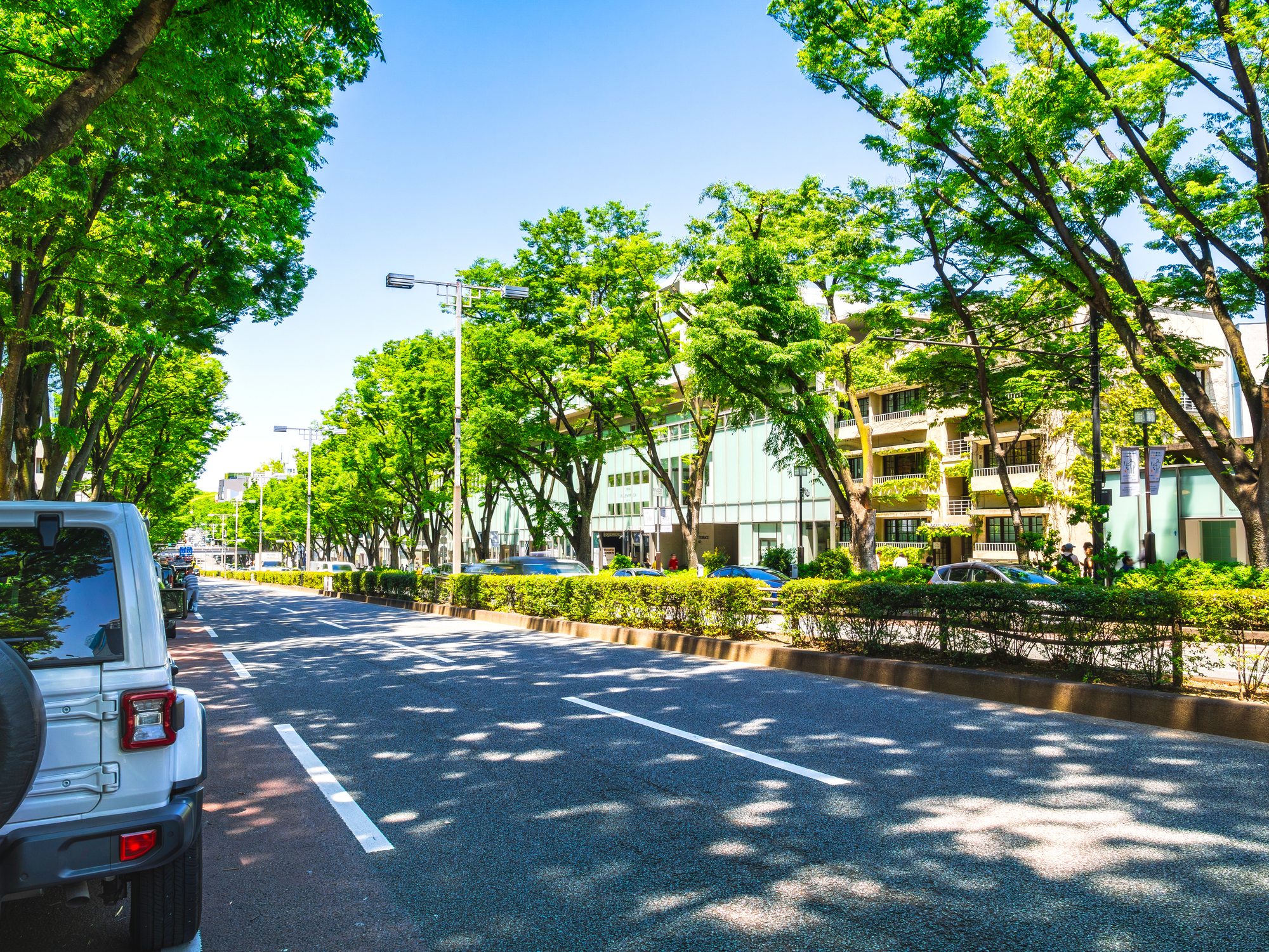 表参道 ラグジュアリーゾーン