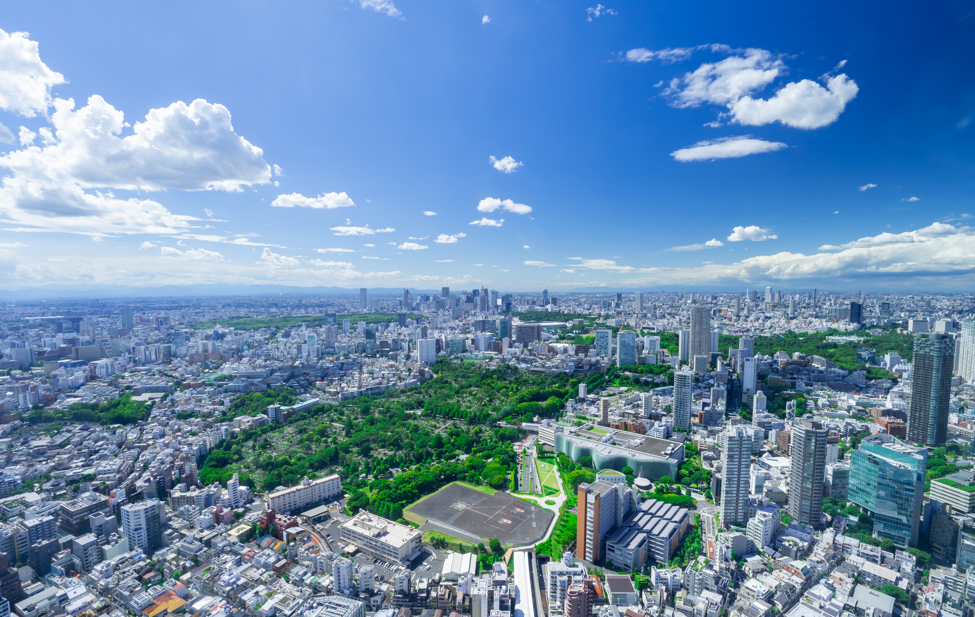 代々木公園・渋谷 鳥瞰