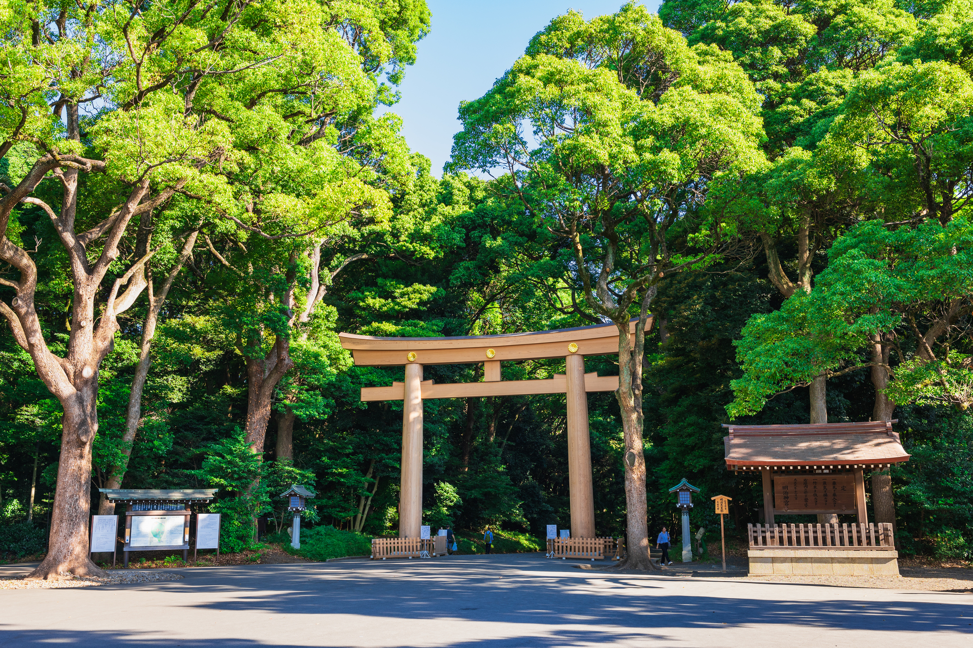 明治神宮 大鳥居
