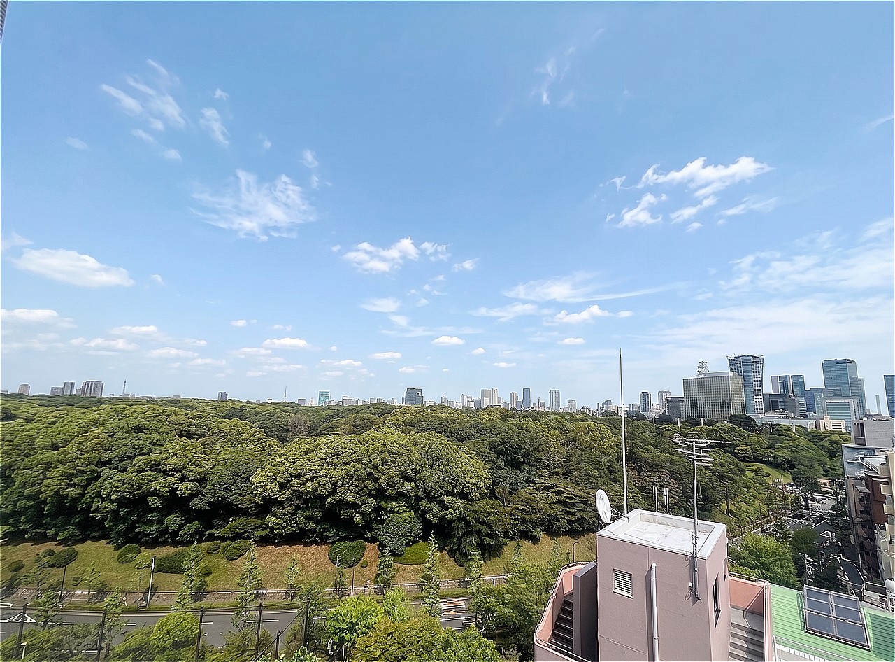 代々木公園方面の眺望